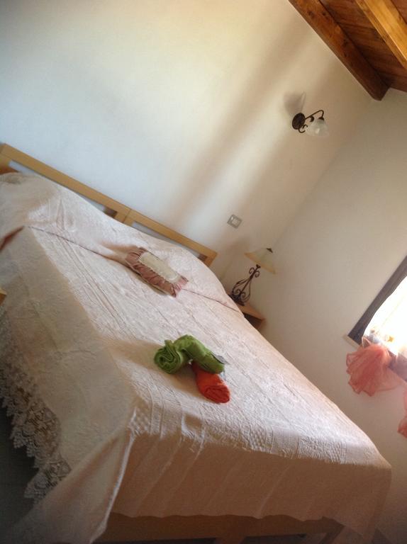Pisceneris Holiday
